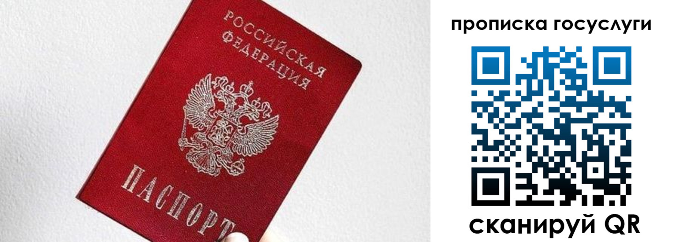 прописка законно в Брянске